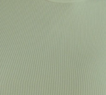 Essential Crop Top